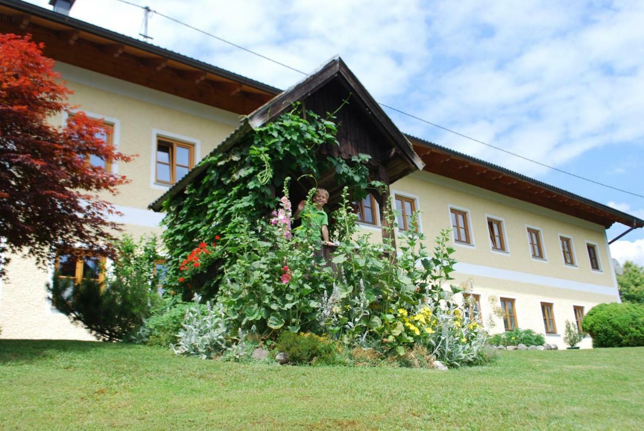 Bauernhof "Unteres Feld" Villa Altmuenster Exterior photo
